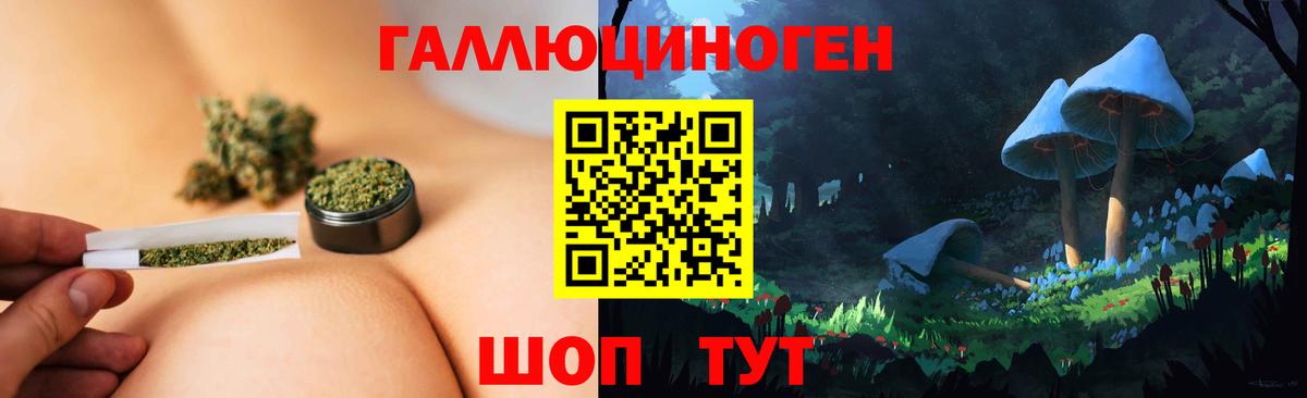 Псилоцибиновые грибы Psilocybe  купить наркотики сайты  Ханты-Мансийск  Вход с VPN 